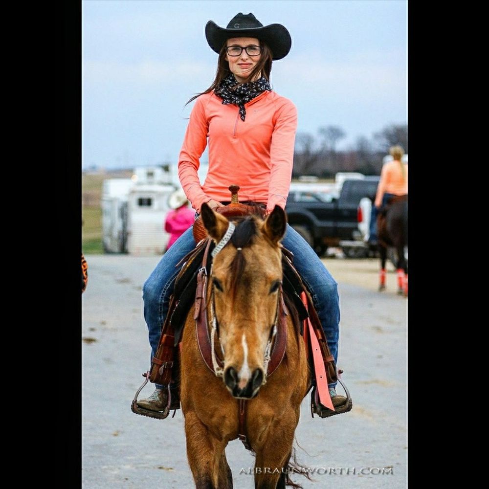 SA Equine - equestrian in Jacksonville, AR
