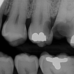 Birdseye Dentistry