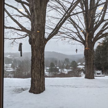 Deerhill Inn - View from the dining room - Bed & Breakfast Near Me - West Dover, Vermont