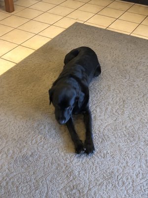 Elyse Winery by null