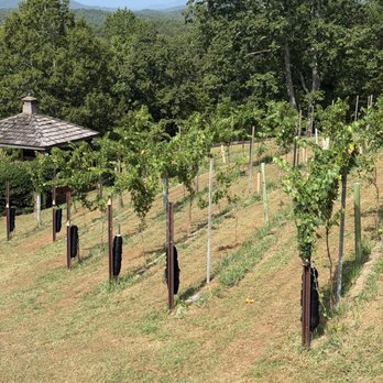 Wolf Mountain Vineyards - Wineries Near Me - Dahlonega, Georgia Wolf Mountain Vineyards - Wineries Near Me - Dahlonega, Georgia