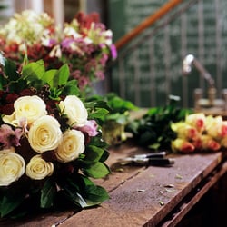 Blumen 31