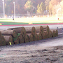 Photo of Dom Chiola Landscaping