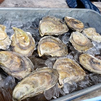 Glidden Point Oyster Farms - Seafood Markets Near Me - Edgecomb, Maine