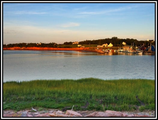Carr's Oyster Bar by null