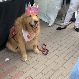 Cutest book fair attendee