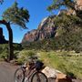 Photo of Zion Gift Store
