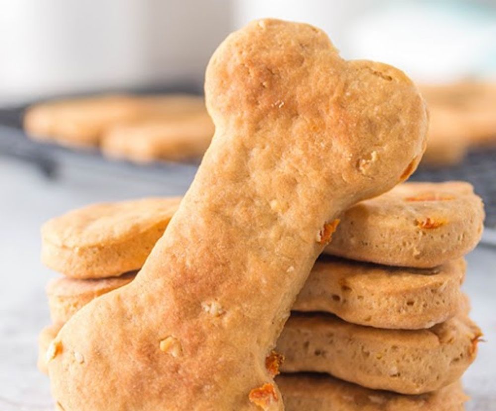 PREMIER CLEANING SERVICES Updated July 2024 Cheyenne, Wyoming