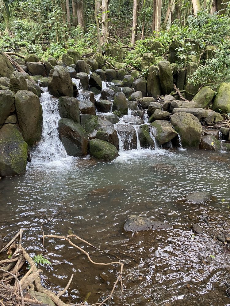 KAYAK KAUAI 179 Photos & 262 Reviews Rafting/Kayaking 35971