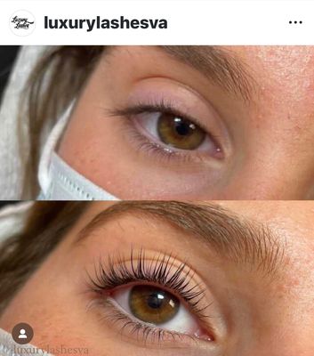 Luxury Lashes