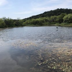 Cedar Ridge Preserve