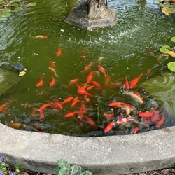 Hanover Circle Condominium - Fountain area