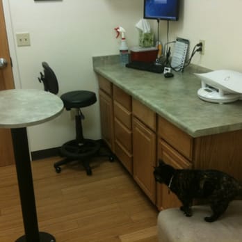 Albuquerque Cat Clinic - Exam room. - Veterinarians Near Me - Albuquerque, New Mexico