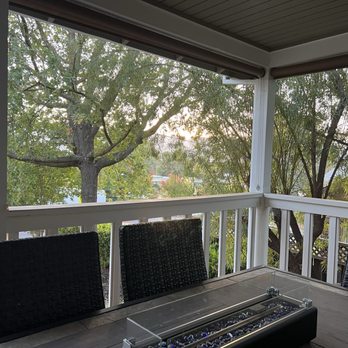 Castillo Tree Service - Before - Tree Services Near Me - Hayward, California