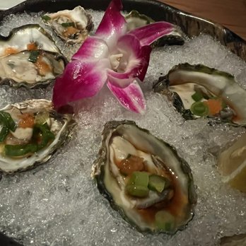 Taisho - Oysters - Sushi Bars Near Me - Sherman Oaks, California