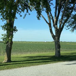Beautiful cornfields bordering the property Beautiful cornfields bordering the property