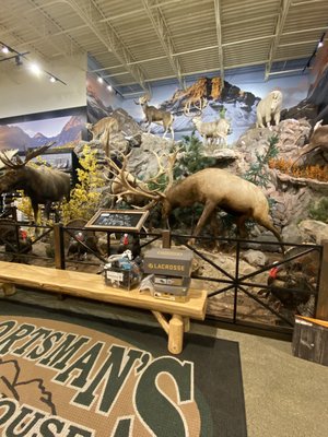 Sportsman's Warehouse by null