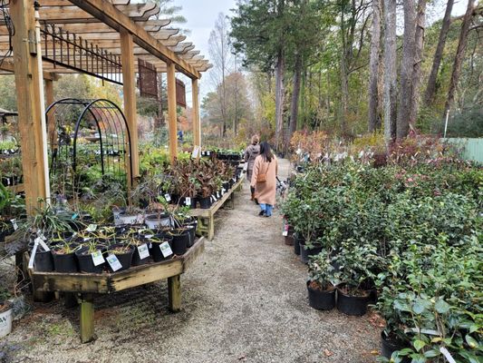 Garden Supply Company by null