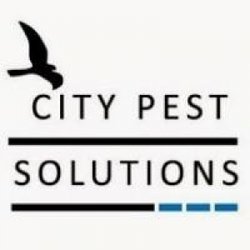 City Pest Solutions