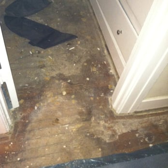 Optima Enterprises - Water damage caused by broken pipe that caused carpet to grow mold. - Property Management Near Me