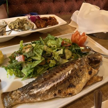 Toros Restaurant - Bronzino - Turkish Near Me - Clifton, New Jersey
