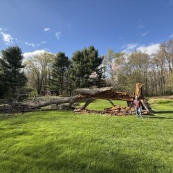 Callender Tree Service