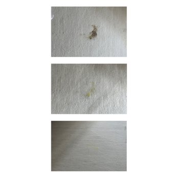 JCM Carpet Cleaning - Dog/poop stain.. before, during & after - Carpet Cleaning Near Me JCM Carpet Cleaning - Dog/poop stain.. before, during & after - Carpet Cleaning Near Me