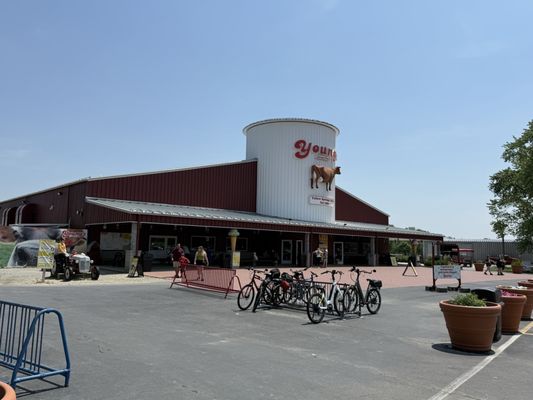 Young's Jersey Dairy by null