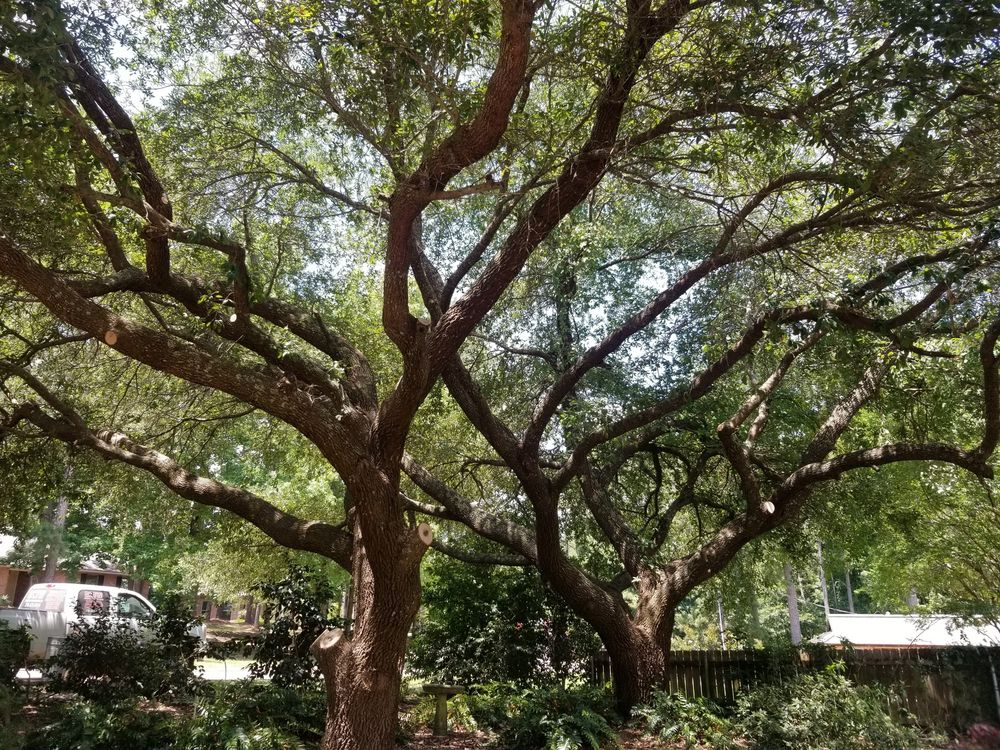 DIRT CHEAP TRACTOR WORK & MORE Updated July 2024 19 Photos 1872