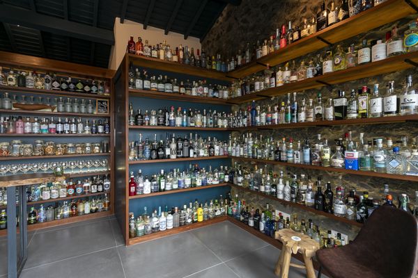 The Gin Library - The Worlds Largest Gin Collection by null