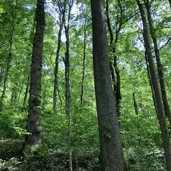 Tioga Falls Trail - Hiking Near Me - West Point, Kentucky