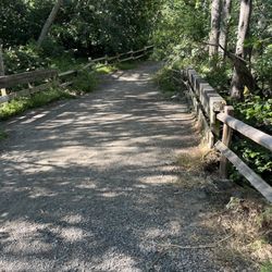 Wildcat Canyon Regional Park - Nice bridge over the still running creek