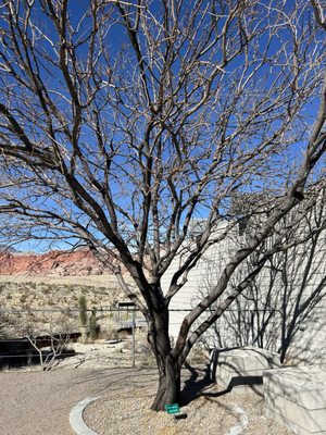 Red Rock Canyon Visitor Center by null