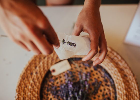 Okanagan Lavender & Herb Farm by null