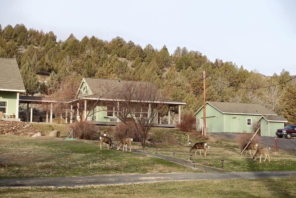 DROVERS INN Updated September 2024 16 Photos 39184 Hwy 205