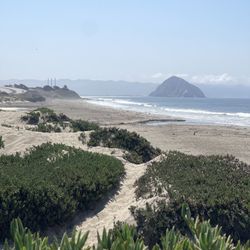 Morro Bay Dog Beach - The beach for dogs. Just don't walk barefoot and here is why...