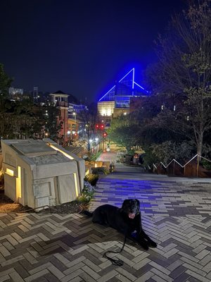 Bluff View Art District by null