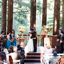 Amphitheatre of the Redwoods at Pema Osel Ling - Amphitheatre of the Redwoods