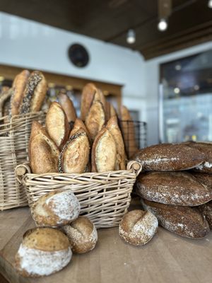 Blue Dog Bakery & Cafe by null