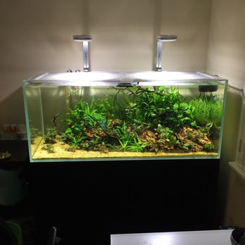Aquarium Co-Op - Aquarium Services Near Me - Edmonds, Washington