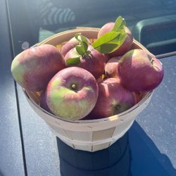 Hillside Apples