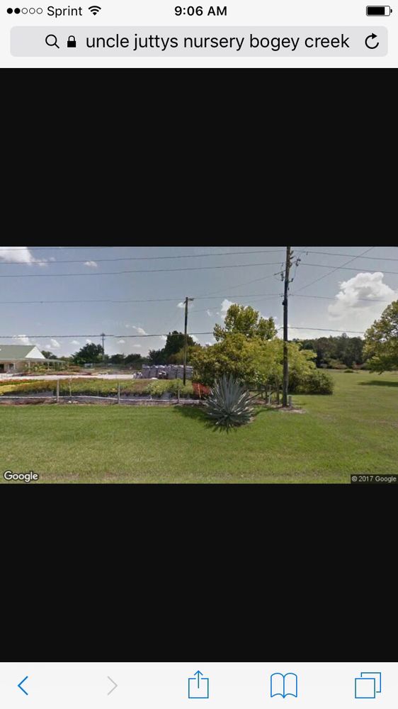 UNCLE JUTTY’S NURSERY Updated August 2024 3415 Boggy Creek Rd, Kissimmee, Florida