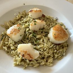 Scallops Scallops