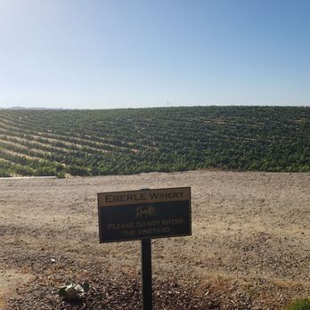Eberle Winery - The field just below the outdoor tasting area. So beautiful to look out on as you sip! - Wineries Near Me - Paso Robles, California Eberle Winery - The field just below the outdoor tasting area. So beautiful to look out on as you sip! - Wineries Near Me - Paso Robles, California