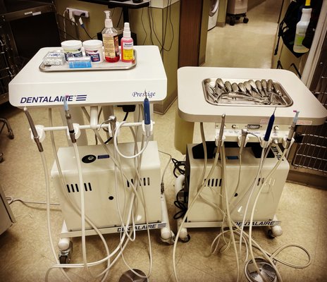 Dental cleaning - We do offer the dental exam before the procedure . Dental cleaning - We do offer the dental exam before the procedure .