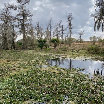 Lafitte Barataria Preserve - Parks Near Me - New Orleans, Louisiana Lafitte Barataria Preserve - Parks Near Me - New Orleans, Louisiana