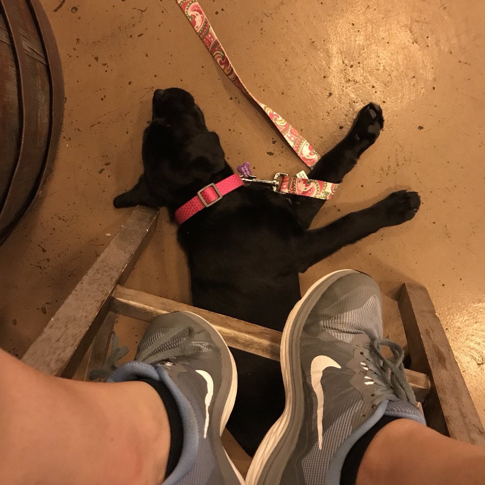 Deep River Brewing Co - Dog Friendly inside as long as the dogs are on a leash! - Breweries Near Me - Clayton, North Carolina Deep River Brewing Co - Dog Friendly inside as long as the dogs are on a leash! - Breweries Near Me - Clayton, North Carolina