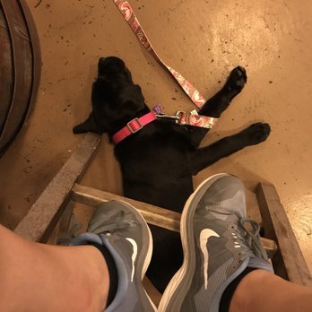 Deep River Brewing Co - Dog Friendly inside as long as the dogs are on a leash! - Breweries Near Me - Clayton, North Carolina