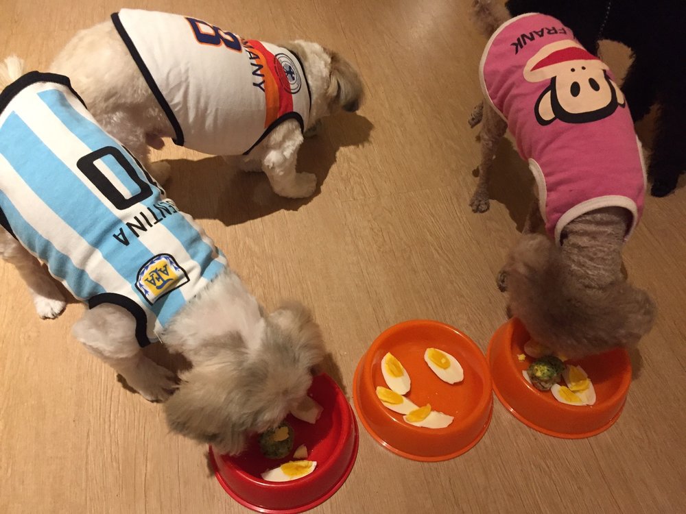 THE HOUND CAFE Updated August 2024 44A, Jalan Hujan Emas 4, Kuala