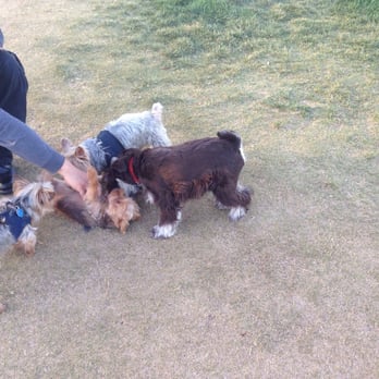 Kellogg Zaher Dog Park - Dog Parks Near Me - Las Vegas, Nevada Kellogg Zaher Dog Park - Dog Parks Near Me - Las Vegas, Nevada